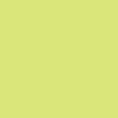 Light Citron | PE-409 | Art Gallery Fabrics | AGF PURE Solid s, 100% Premium Quilting Cotton