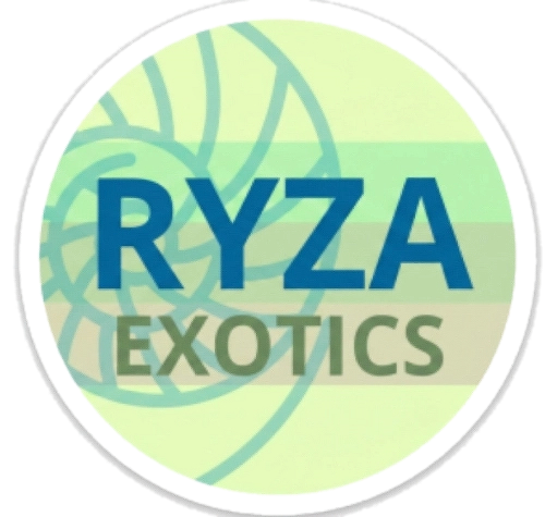 RYZA Exotics