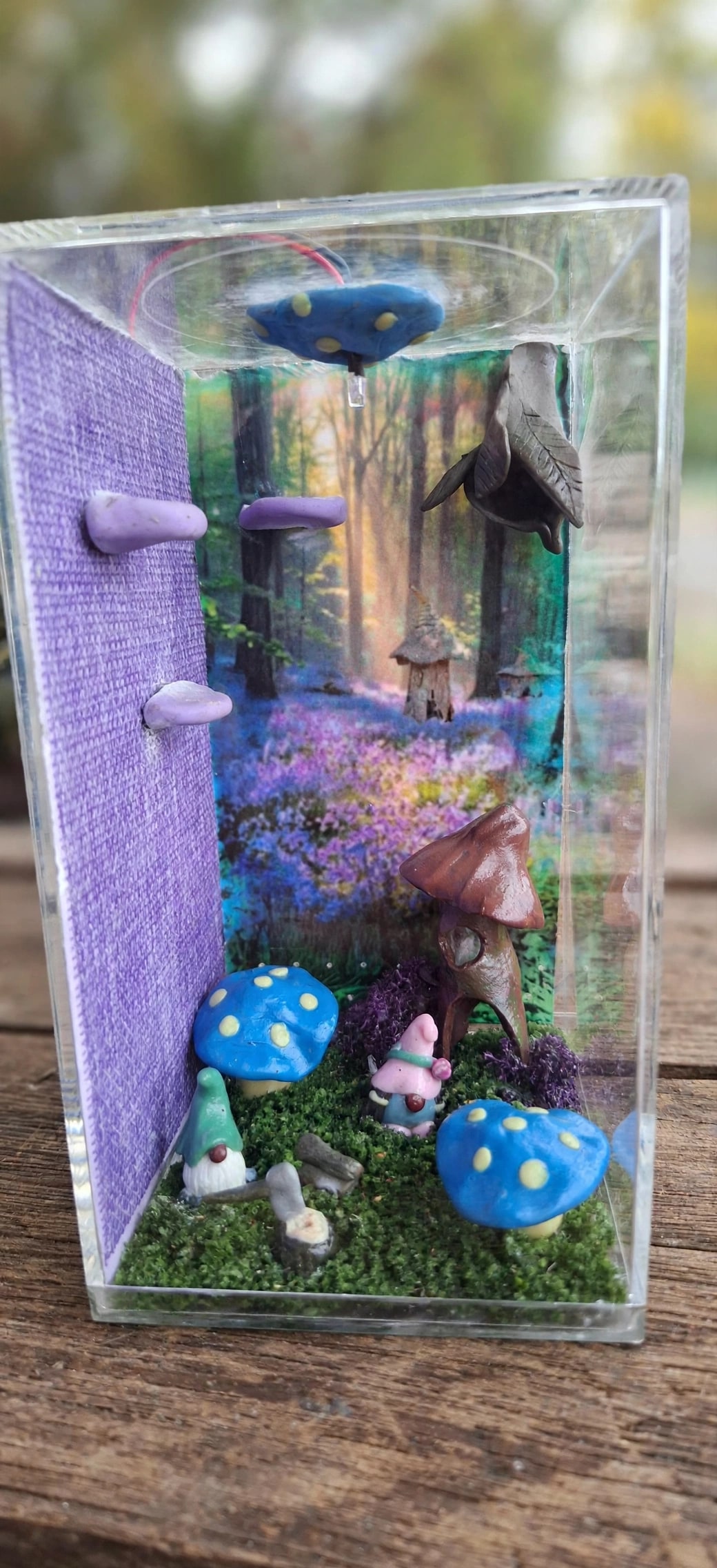 A handmade gnome terrarium enclosure with layered climbing surfaces