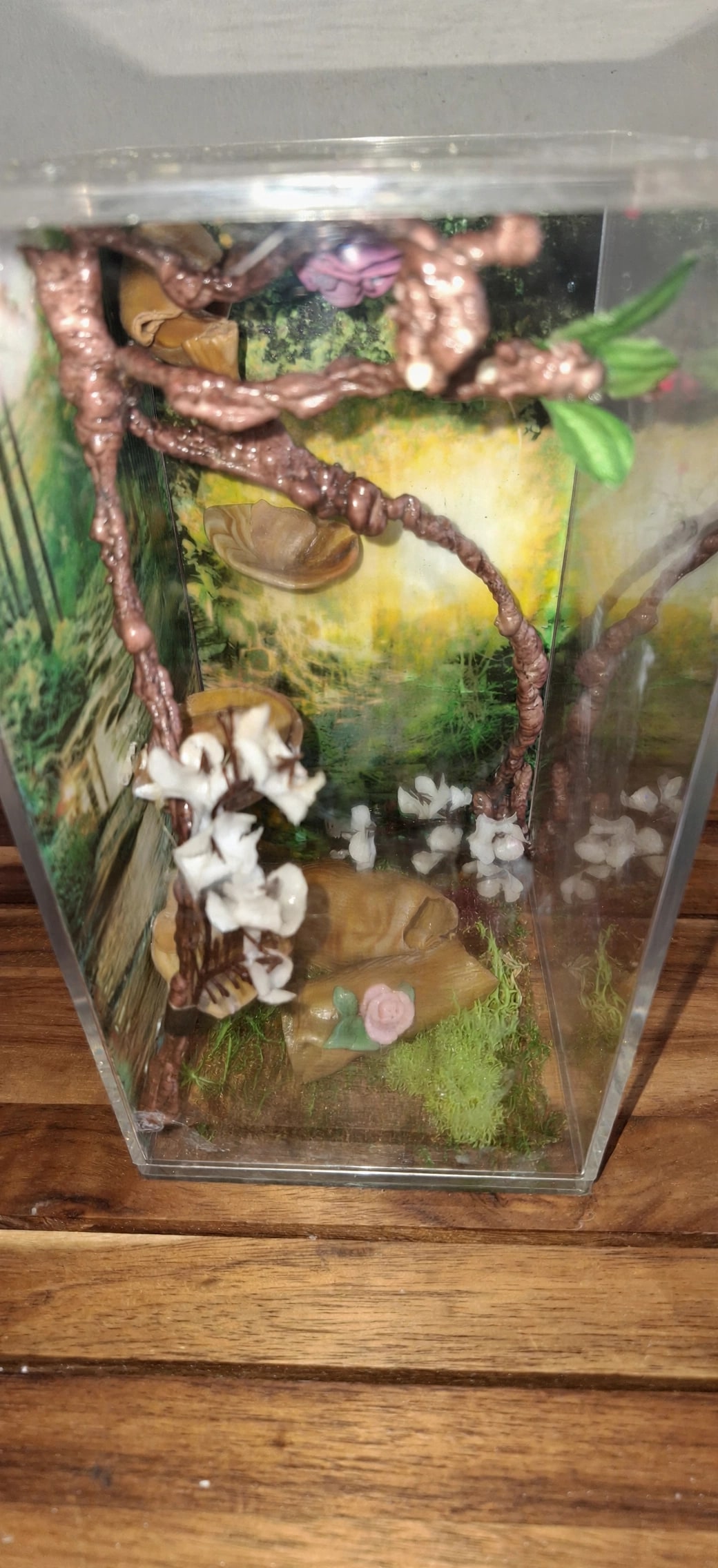 A woodland-themed handmade jumping spider enclosure