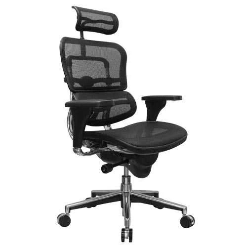 Ergo Human High-Back All Mesh Executive Chair