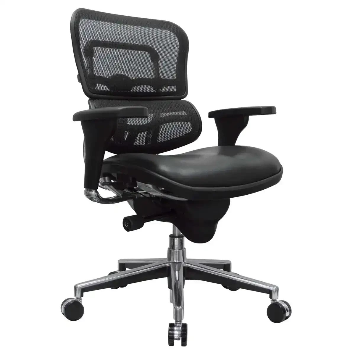 ErgoHuman Ergonomic Leather Seat & Mesh-Back Executive Chair