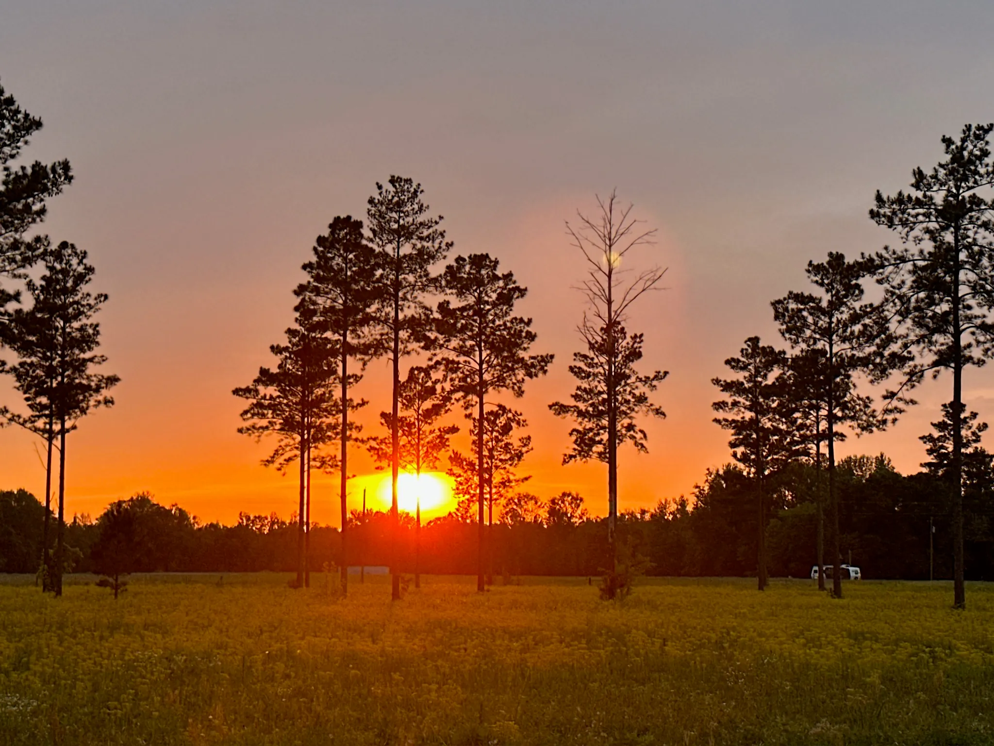 Sunset over the Farmcamp property