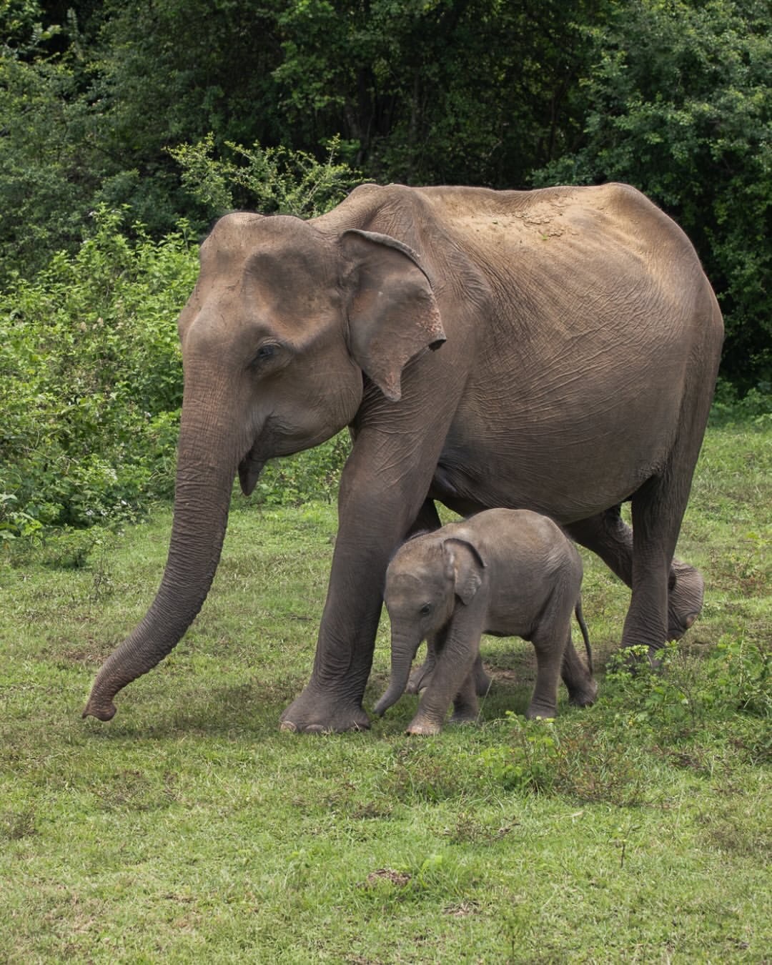 Africa destination scenery