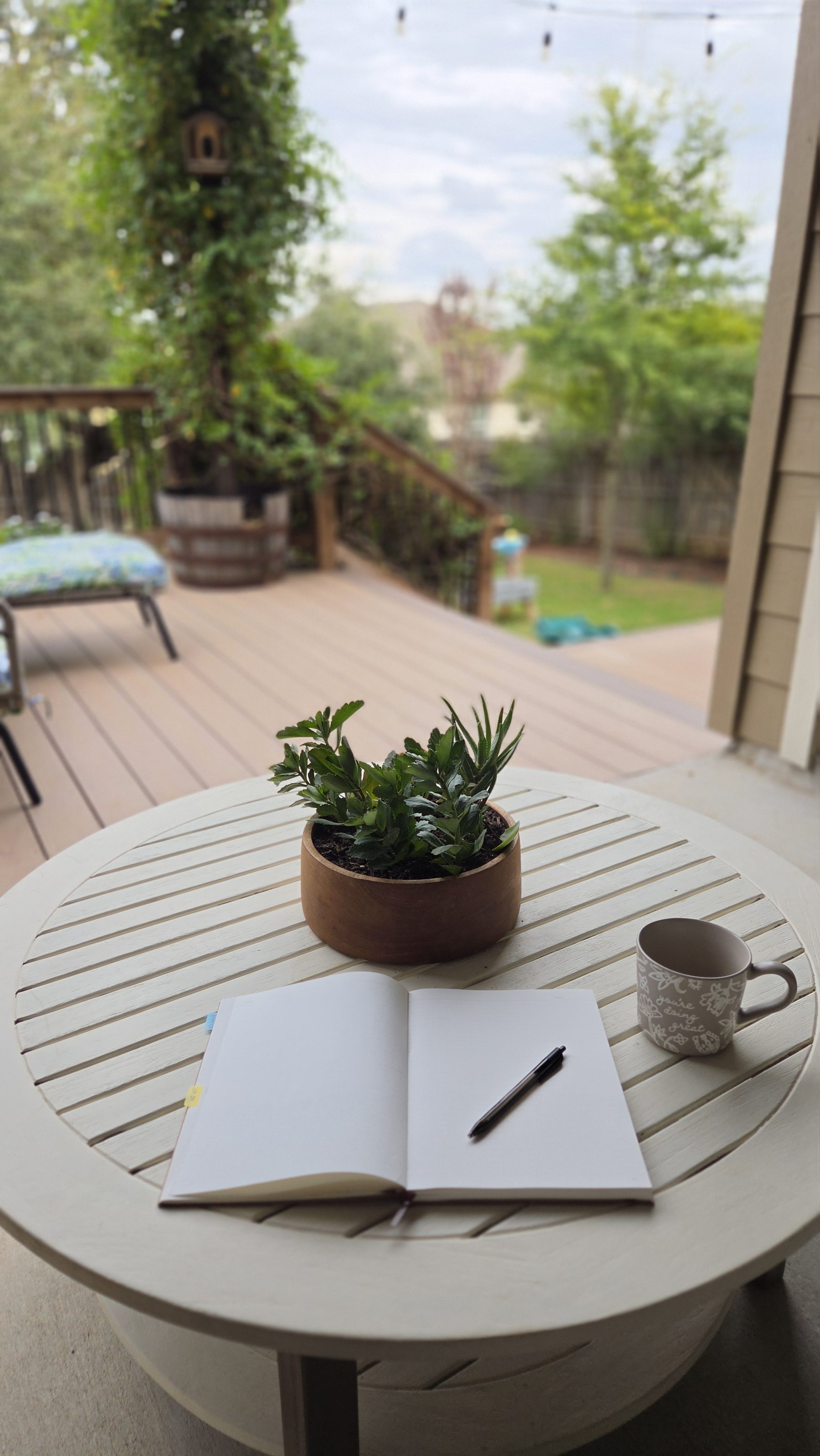 Roxanne’s notebook