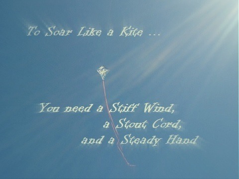A Soaring Kite