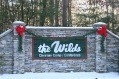 The Wilds
