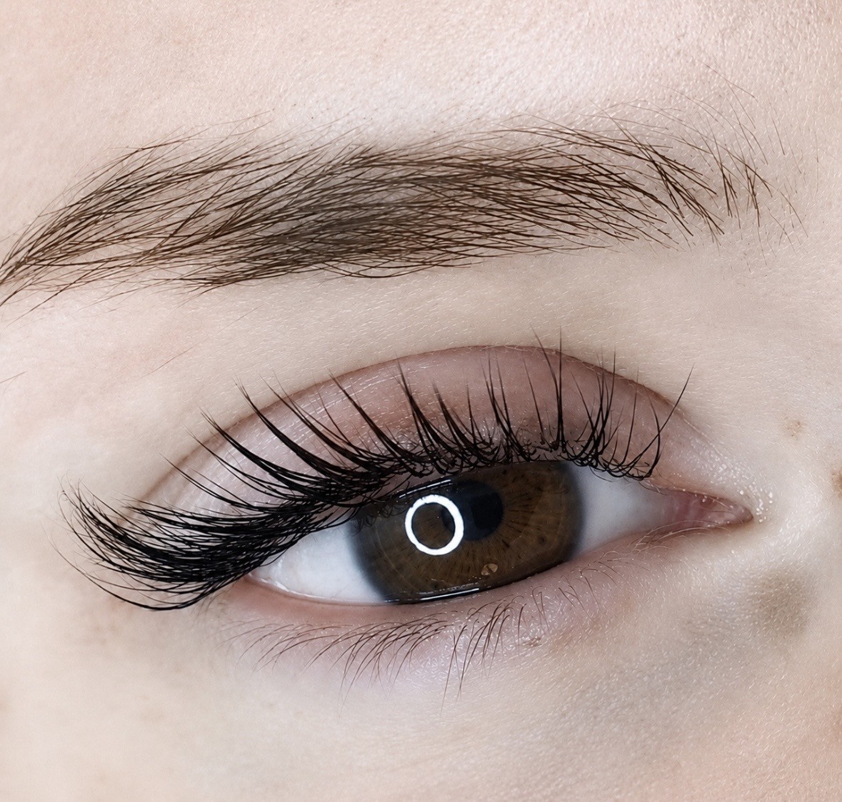 Close-up of a lash lift and tint result