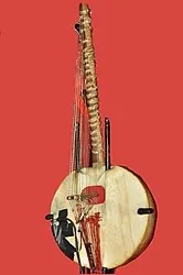 Kora, a 21-string West African harp