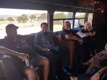Cats in the bus