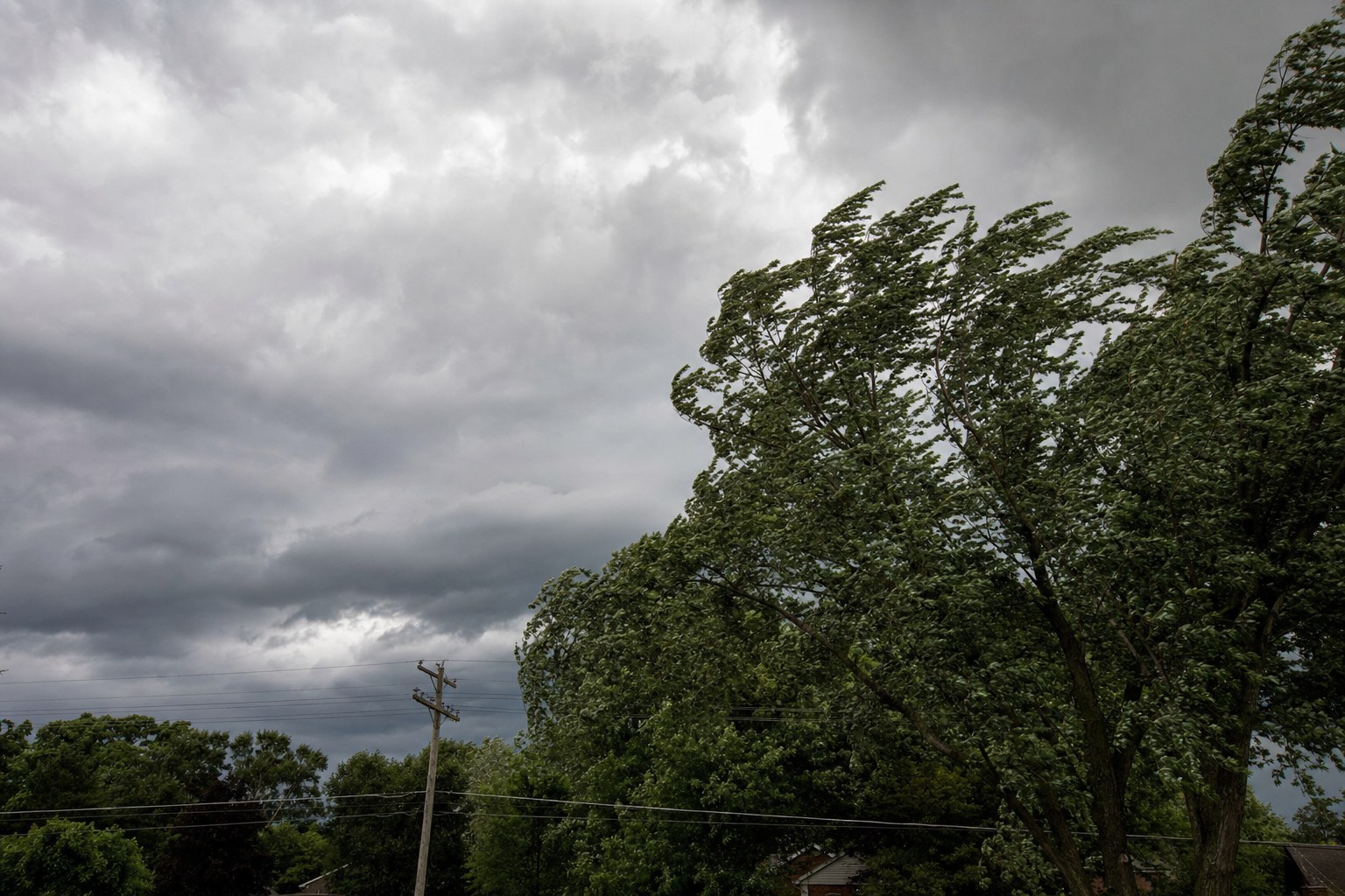 Weather scene illustrating the Daily Scoop report