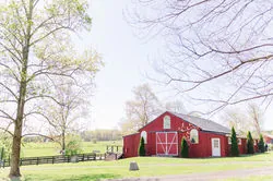 Real wedding at Oak Creek Farm, photo 2