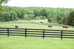 Real wedding at Oak Creek Farm, photo 43