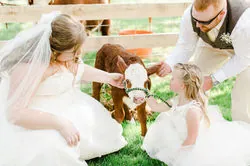 Real wedding at Oak Creek Farm, photo 49