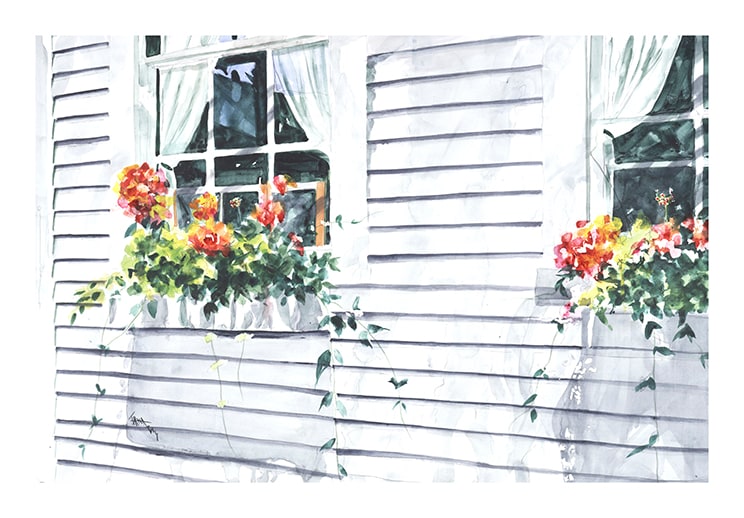 Flower Boxes by Erna Tunno