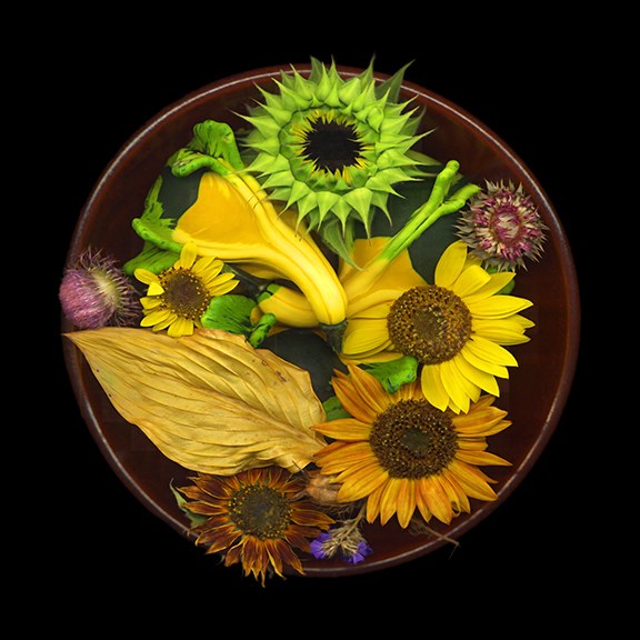 Fall Colors by J Arthur Davis