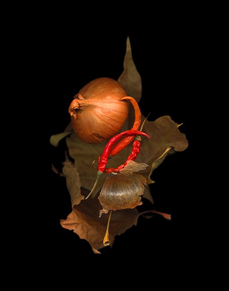 Onion and Leaf on Metal by J Arthur Davis