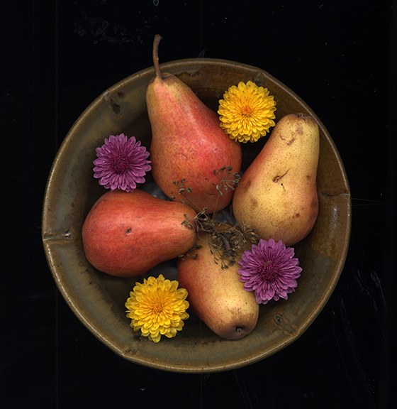 Pears in a Bowl by J Arthur Davis