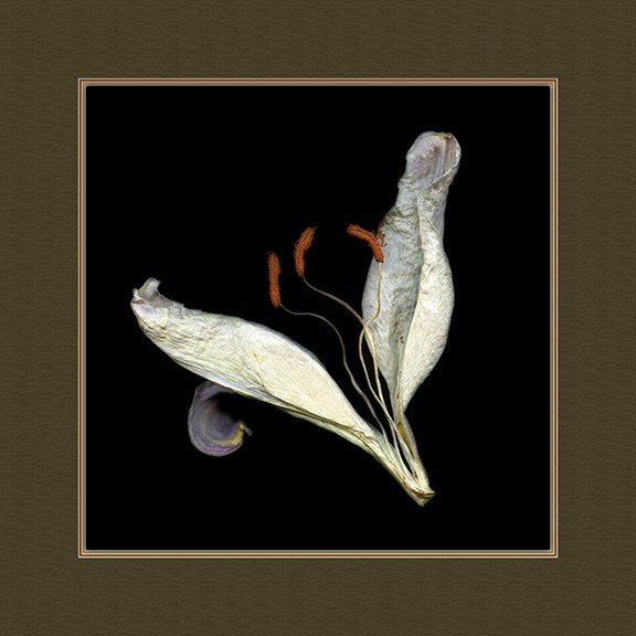 Winter’s Find by J Arthur Davis