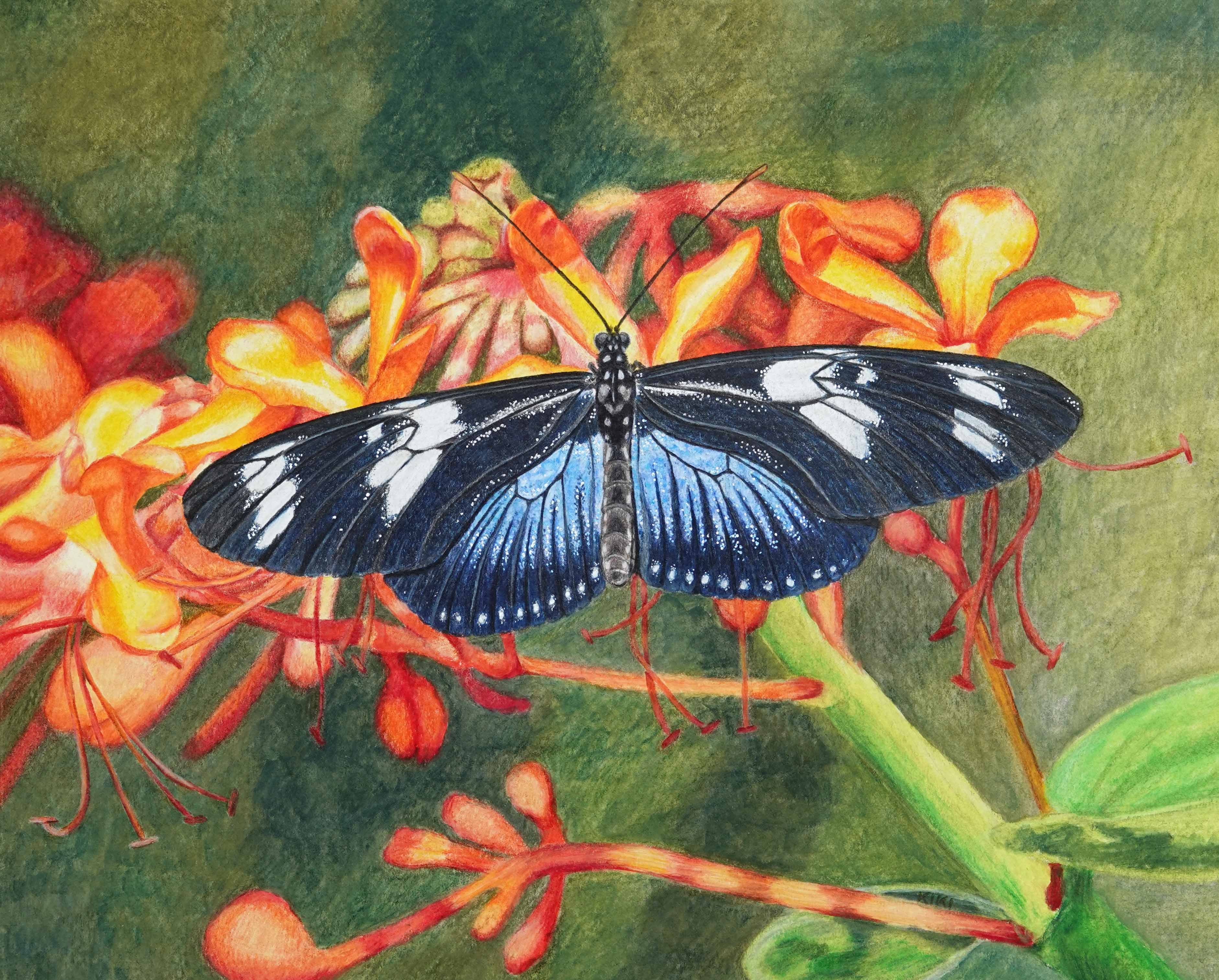 Doris Longwing Butterfly by Lille Viking Designs