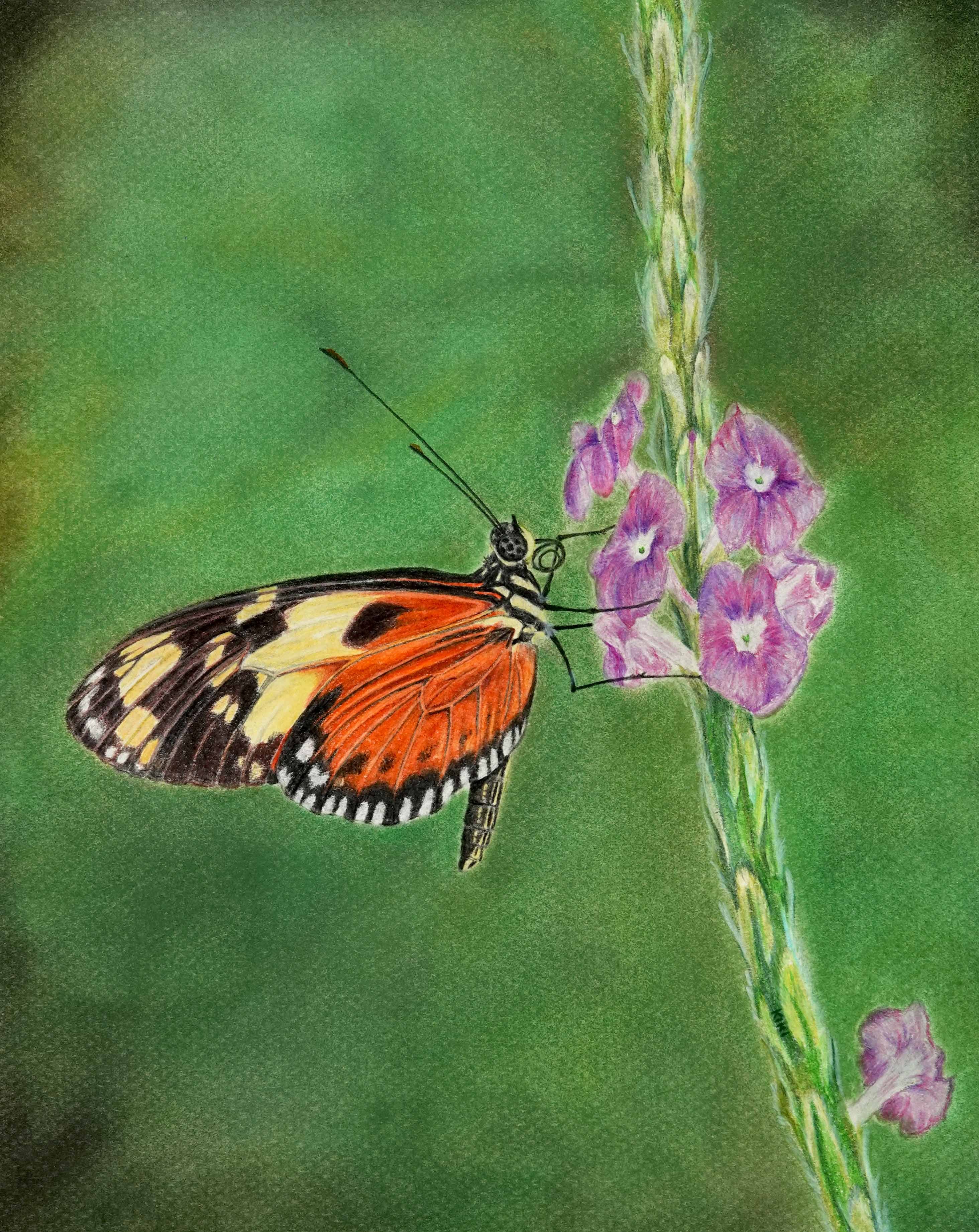 Golden Longwing Butterfly by Lille Viking Designs