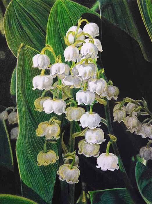 Lily of the Valley by Lille Viking Designs
