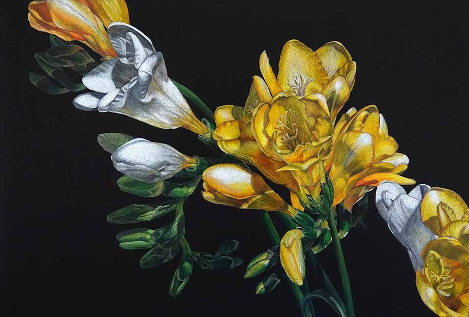 Springtime Freesias by Lille Viking Designs