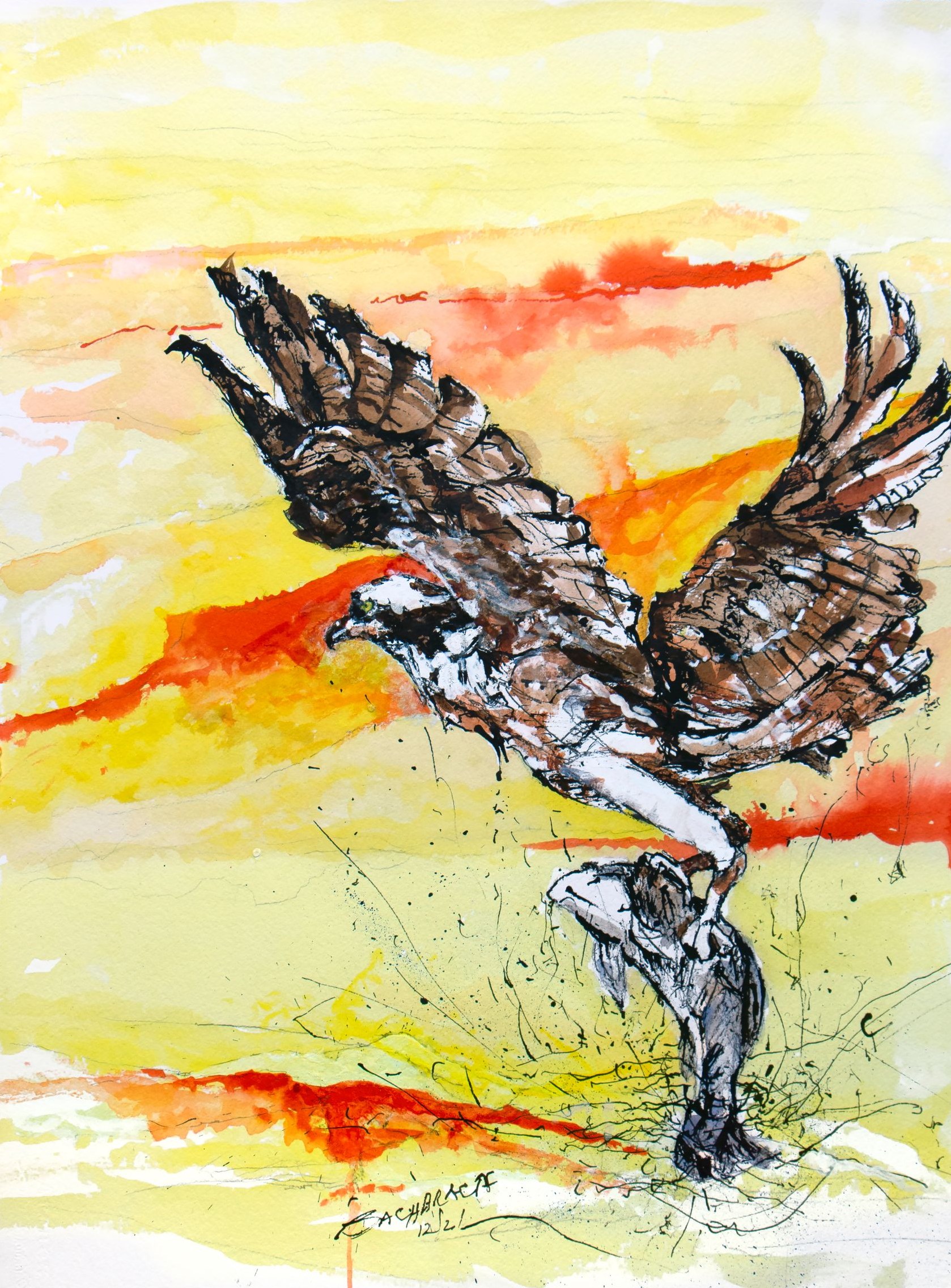 Osprey by Roger Bacharach