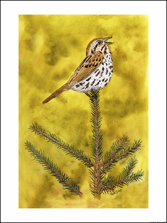 Professional photographic prints