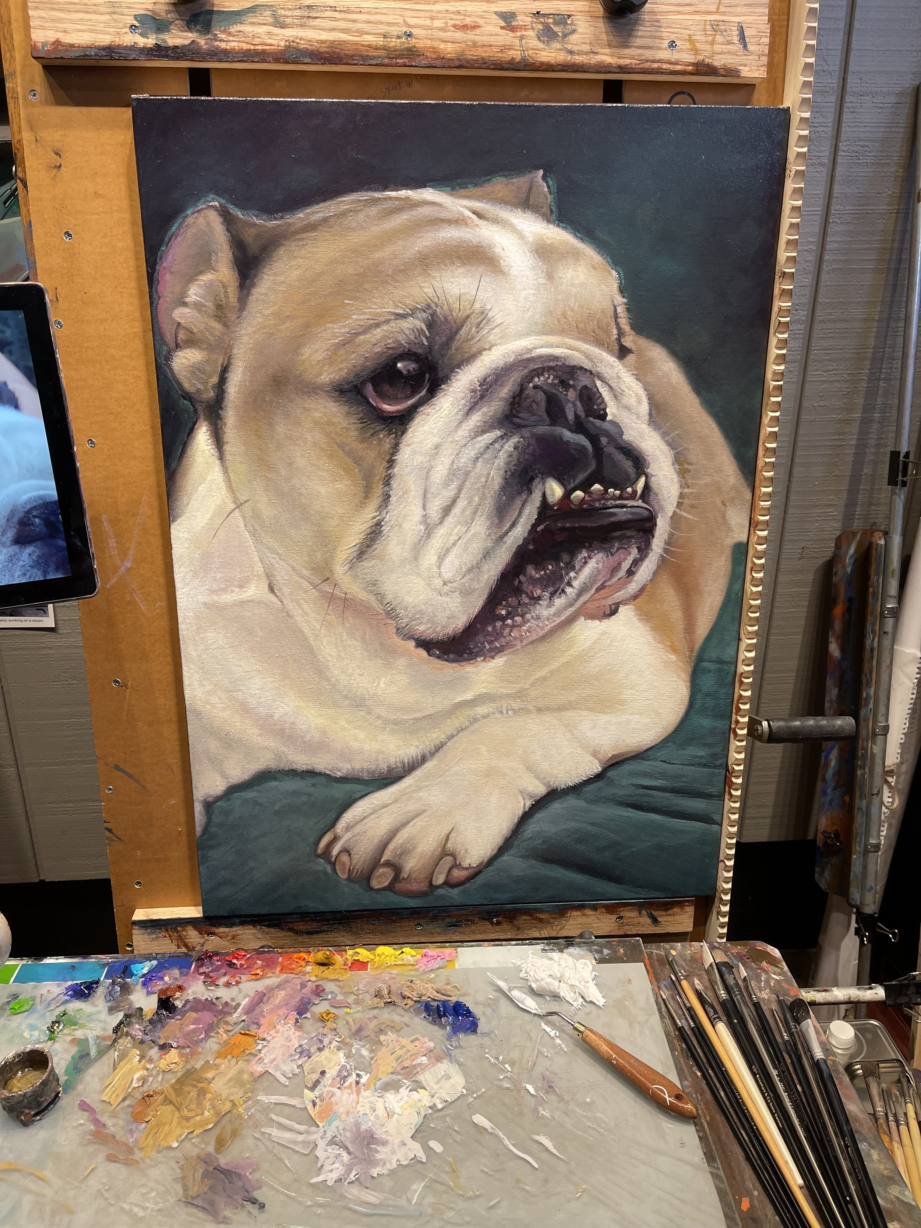 Bulldog Portrait by Wayne Fettro
