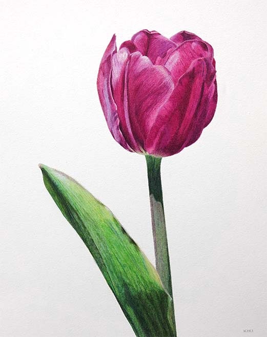 Purple Tulip by Lille Viking Designs