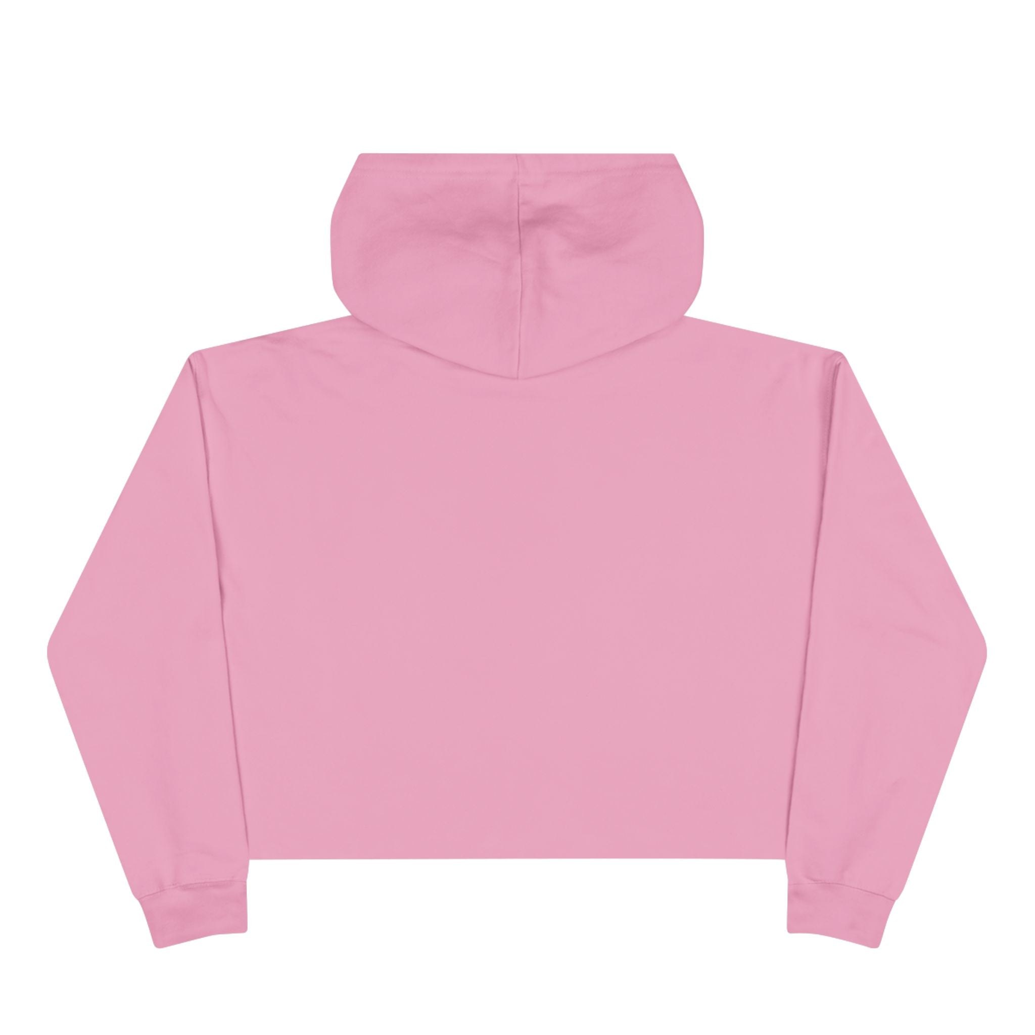 Crop Hoodie — "WAKE UP! Choose Your Children Over Drugs" Anti-Drug Parent Awareness Crop Hoodie