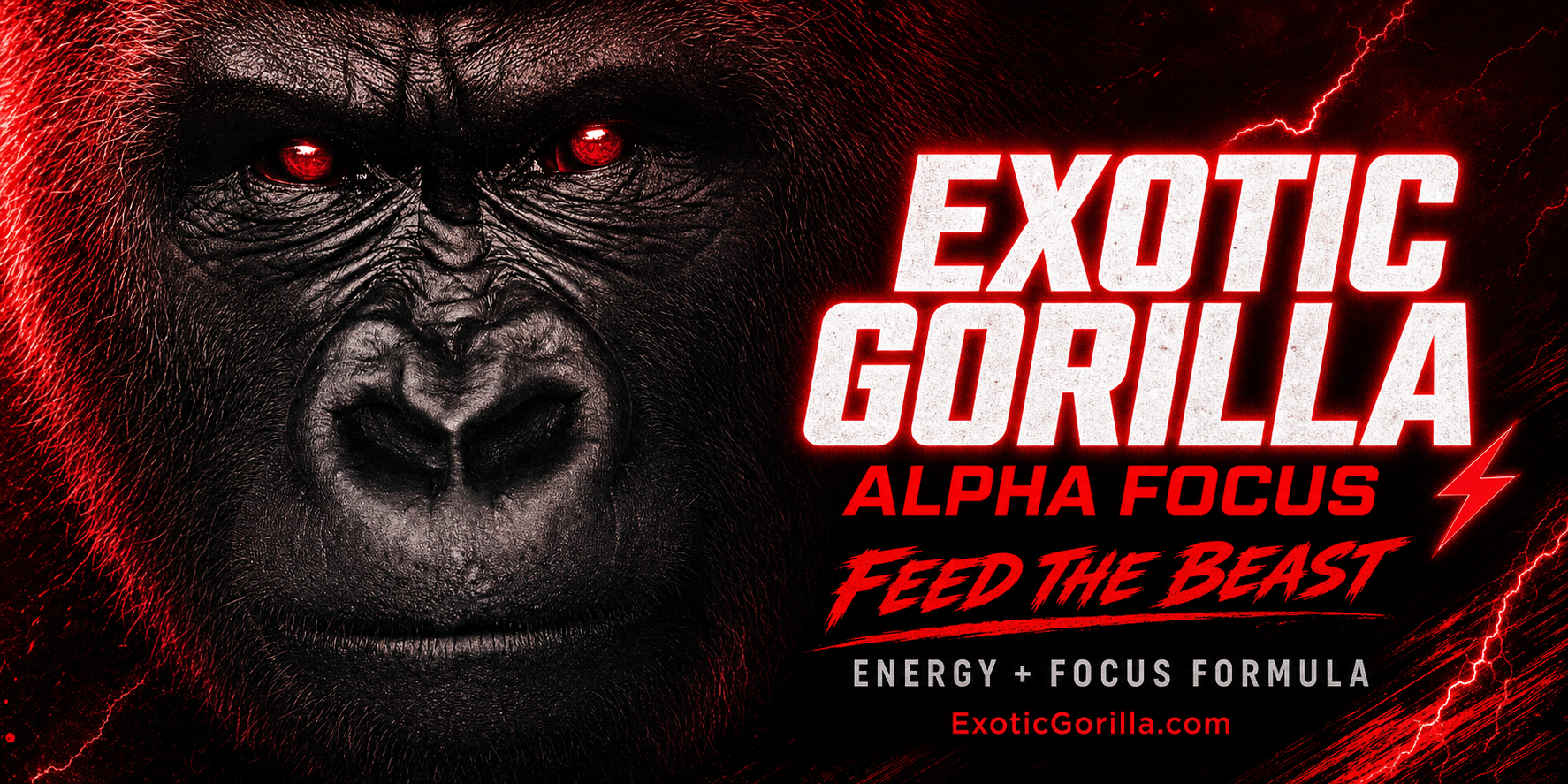 Alpha Focus gorilla artwork