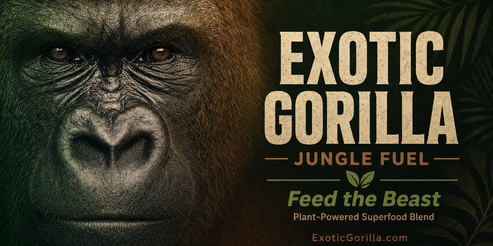 Core gorilla artwork for everyday wellness