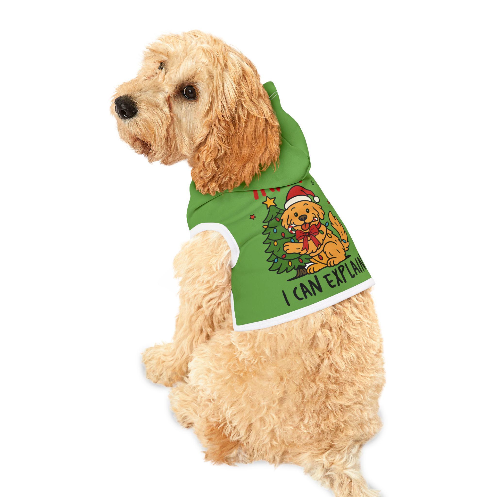 Dear Santa I Can Explain dog hoodie | Pet Hoodie.