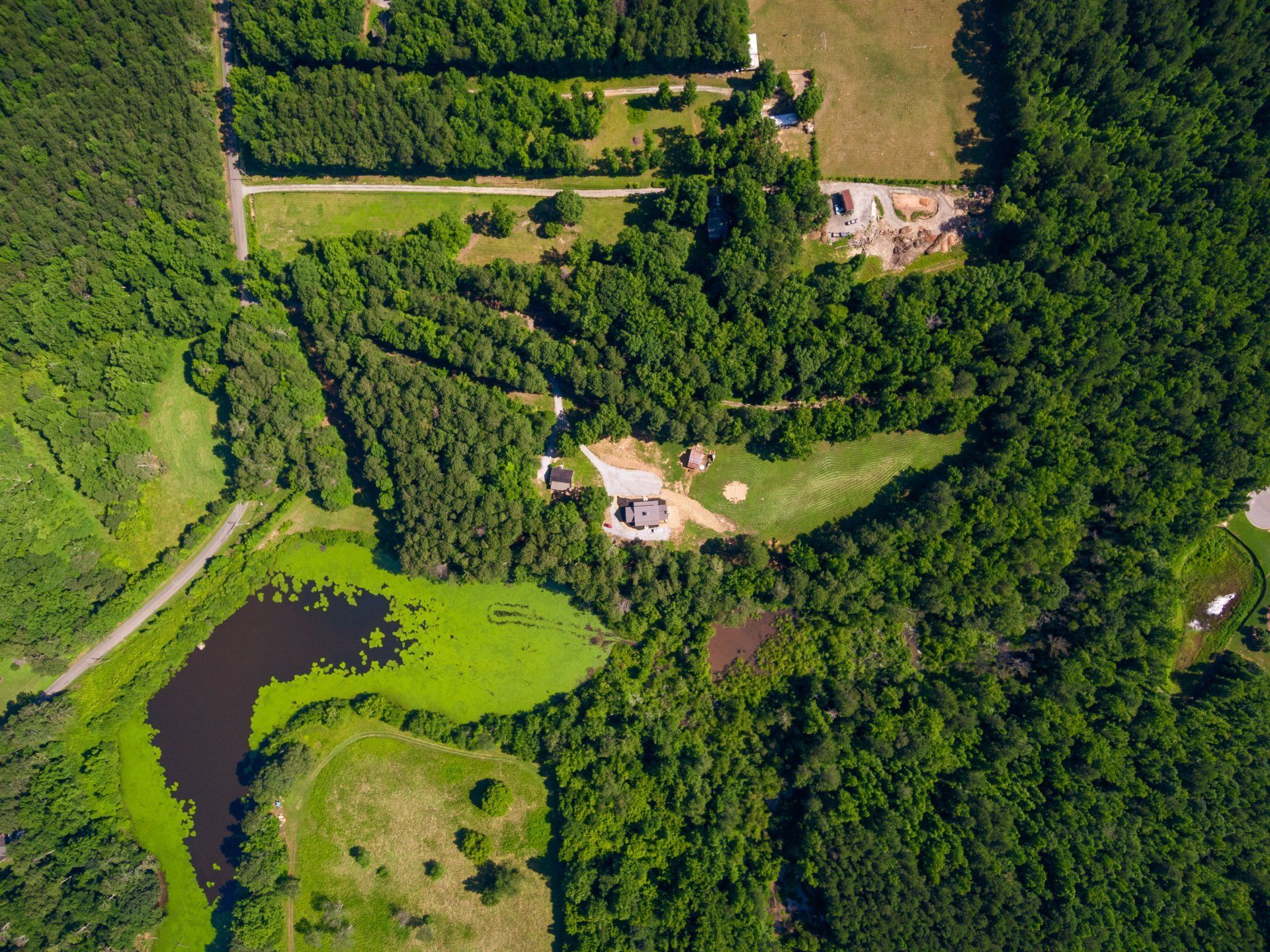 An aerial view of a lush green forest with a pond in the middle.