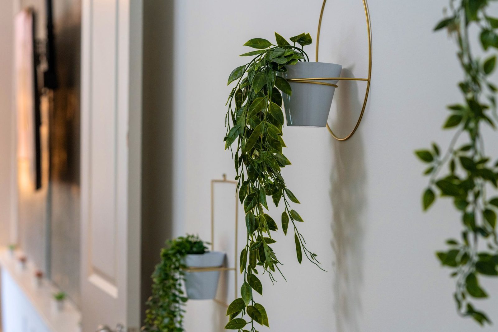 A couple of potted plants hanging on a wall.