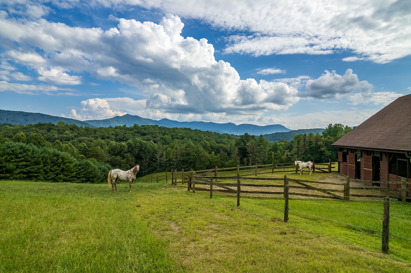 Atlanta property photographed by Curb Appeal Photography