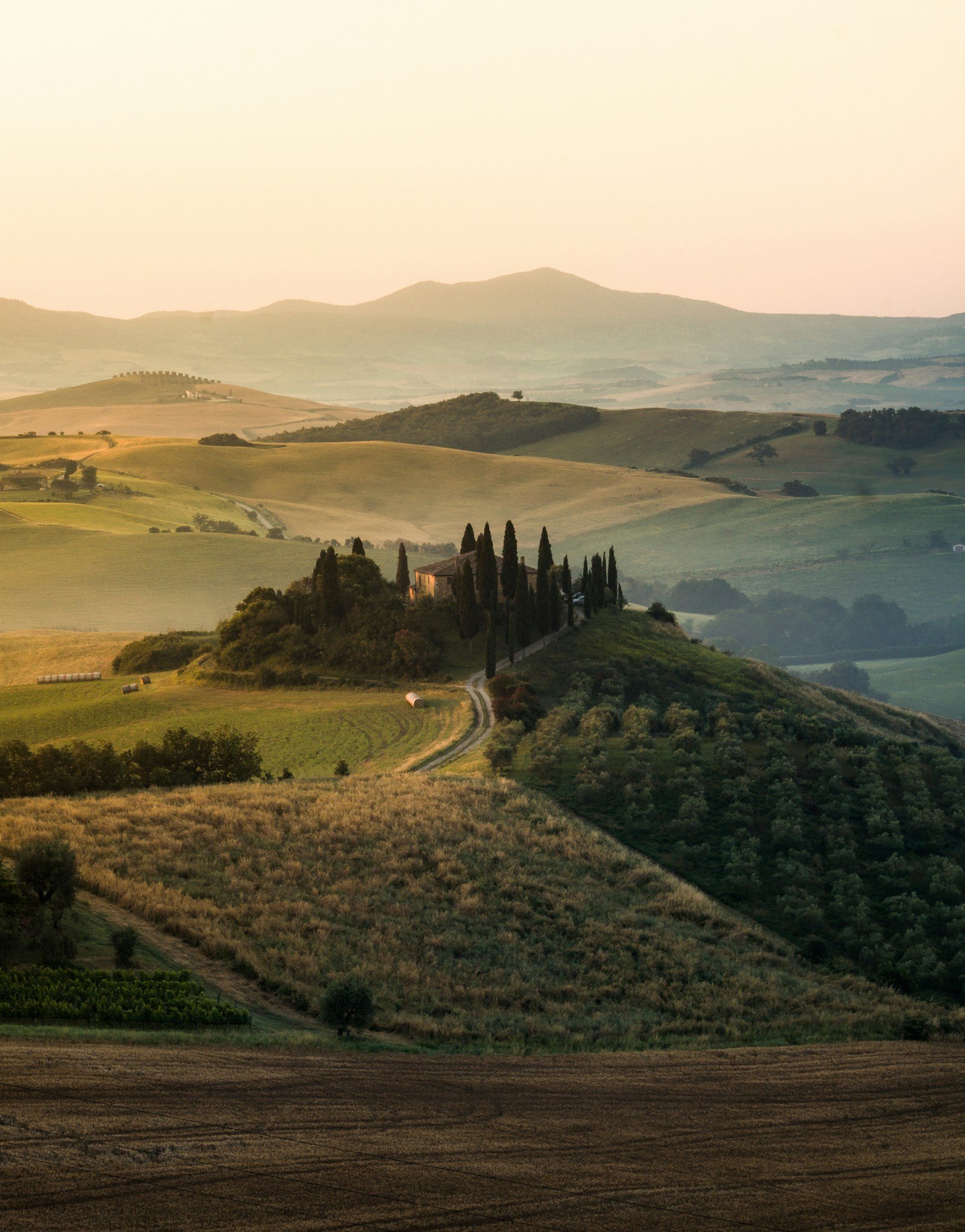 Golden light over a cypress-lined farmhouse and rolling Tuscan hills