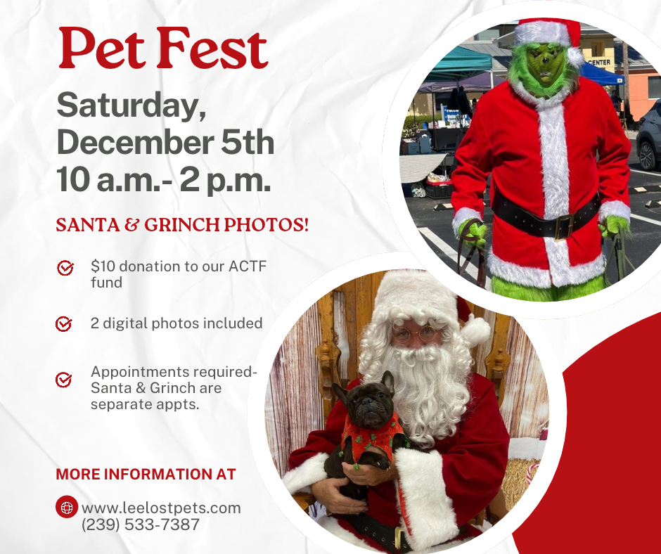 Pet Fest flyer: Saturday, December 5, 2026, 10:00 AM to 2:00 PM