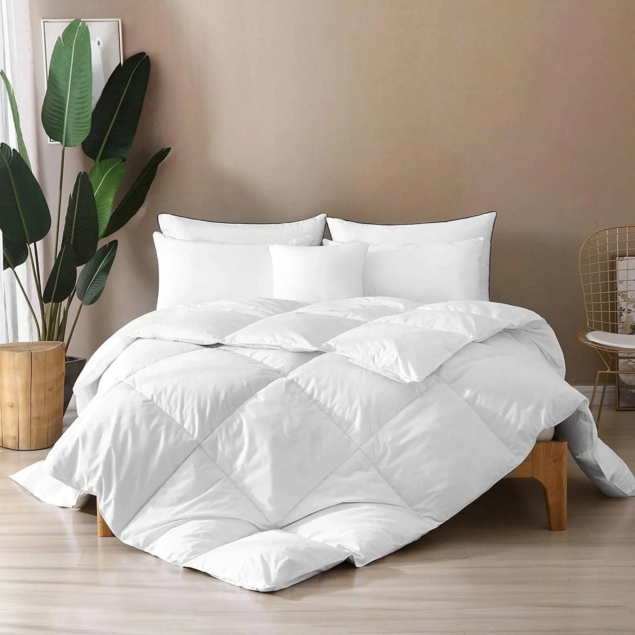 Bedding and home finds