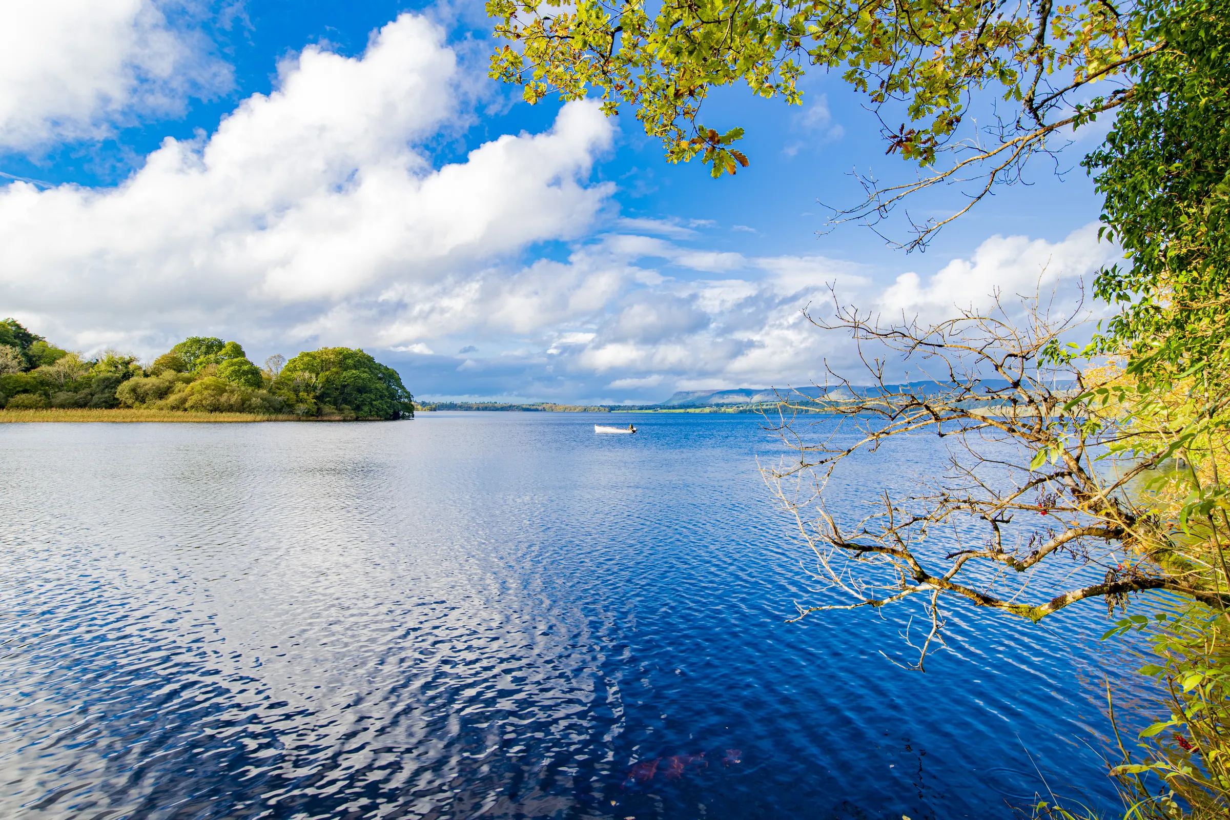 Lakeside landscape under a blue sky