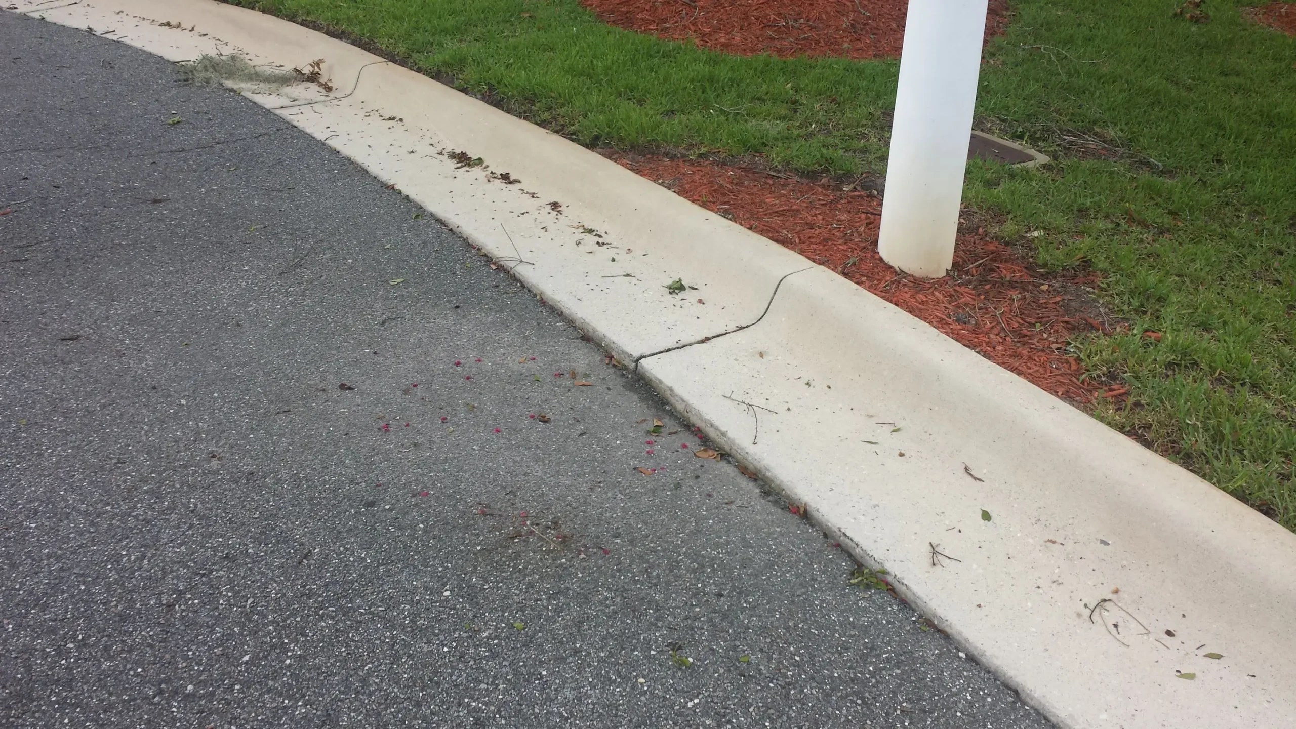 Concrete, Curbs & Ramps project photograph 3