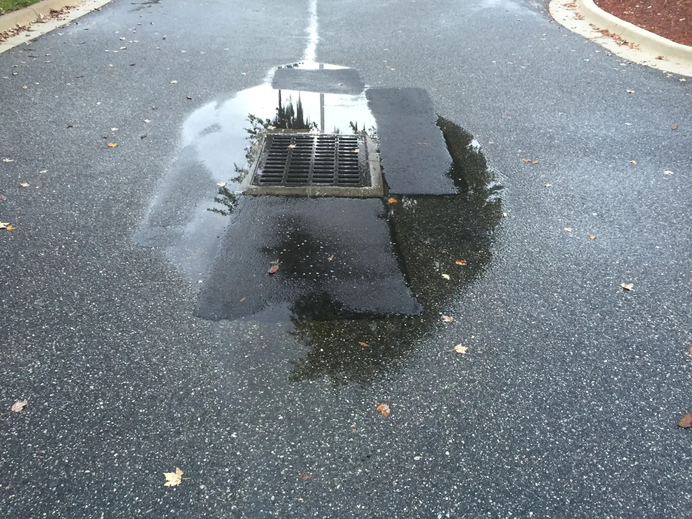 Asphalt Paving project photograph 19