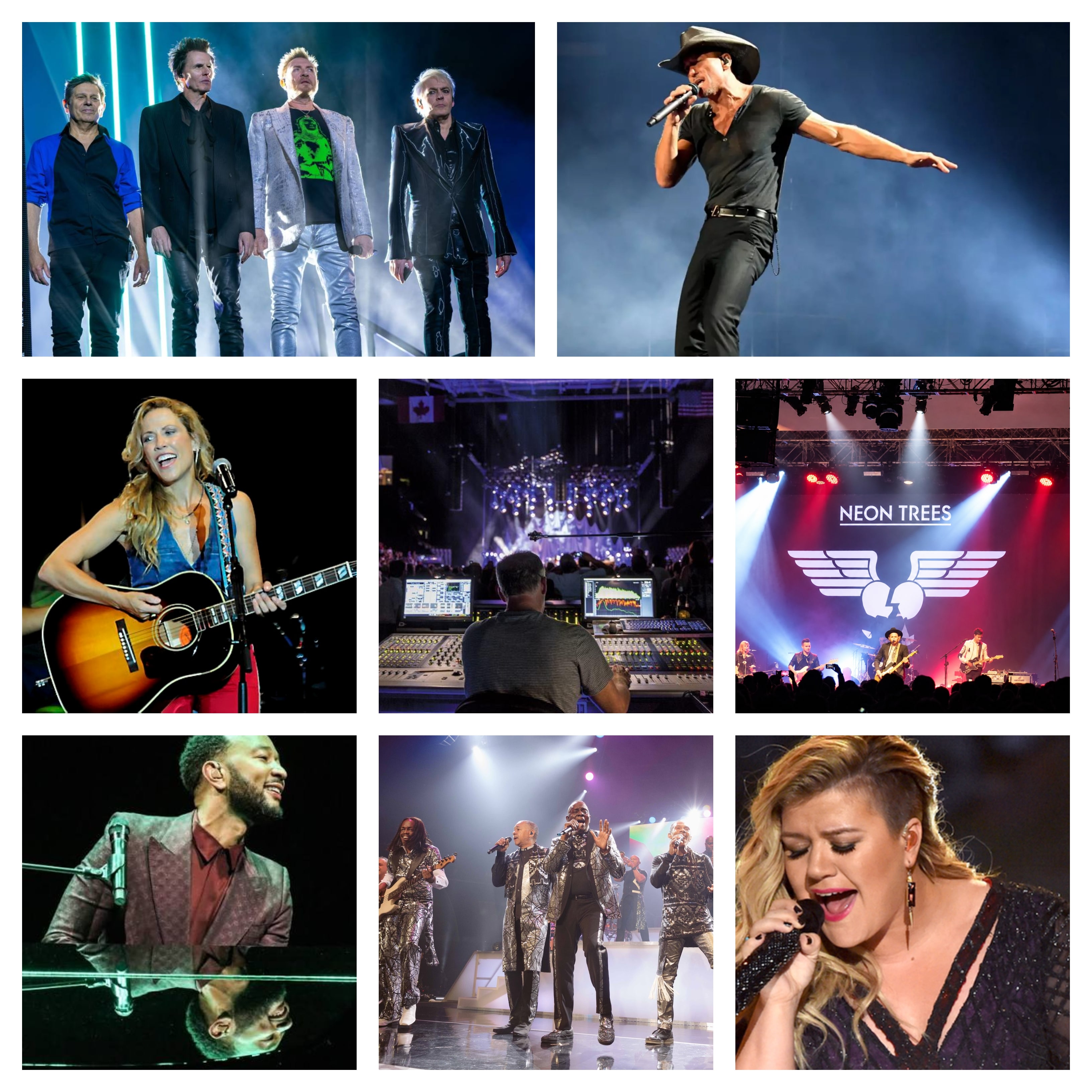 Concert artists performing live