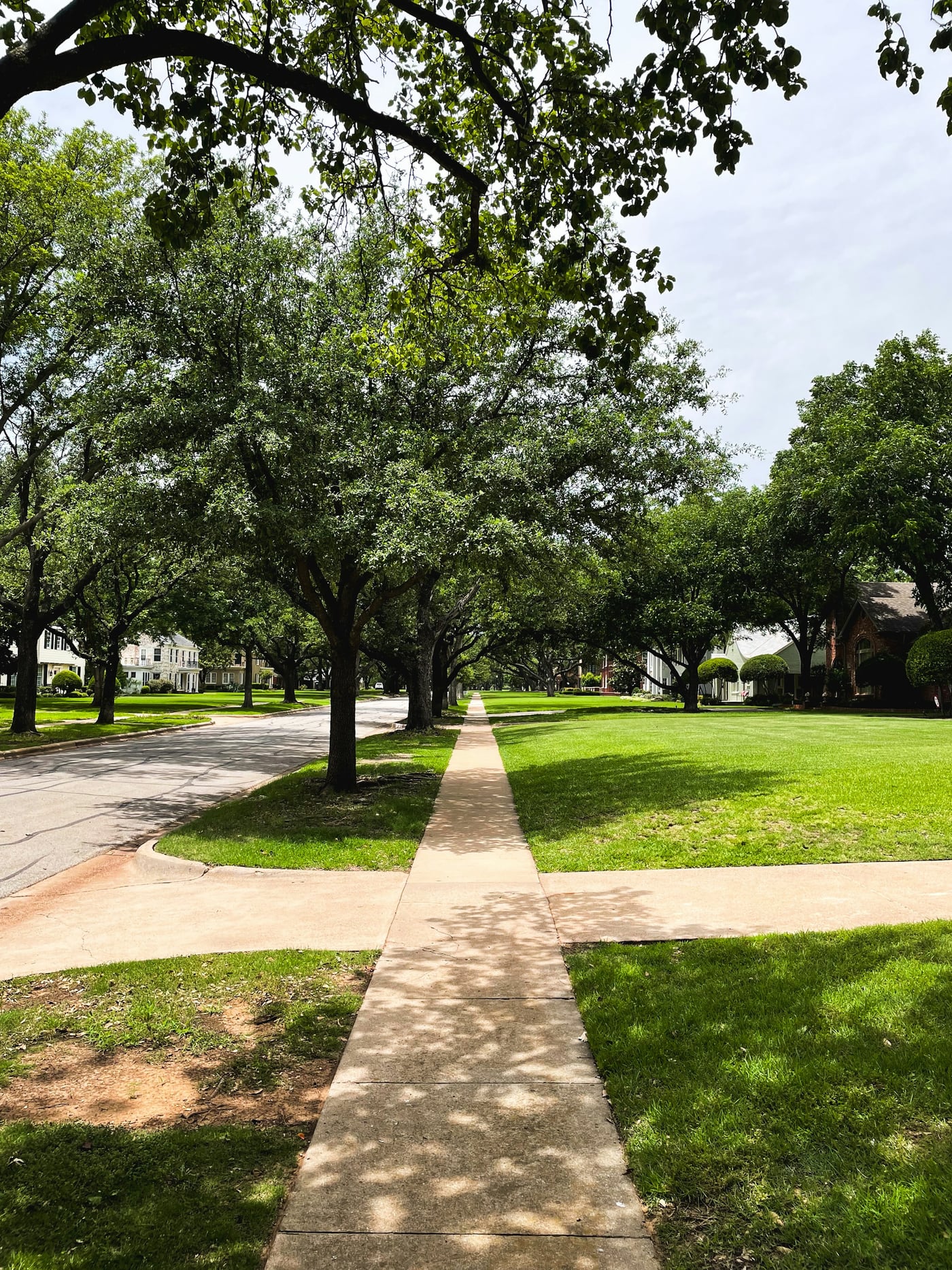 Tree-lined neighborhood sidewalk, representing day-to-day walkability and neighborhood feel