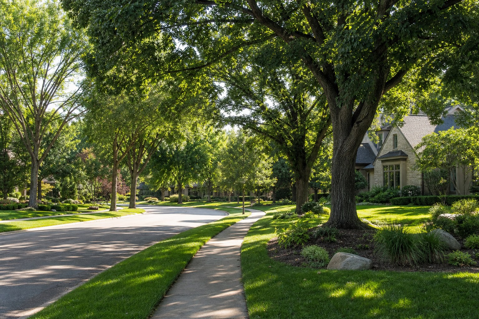 Mature tree-lined street in Clive