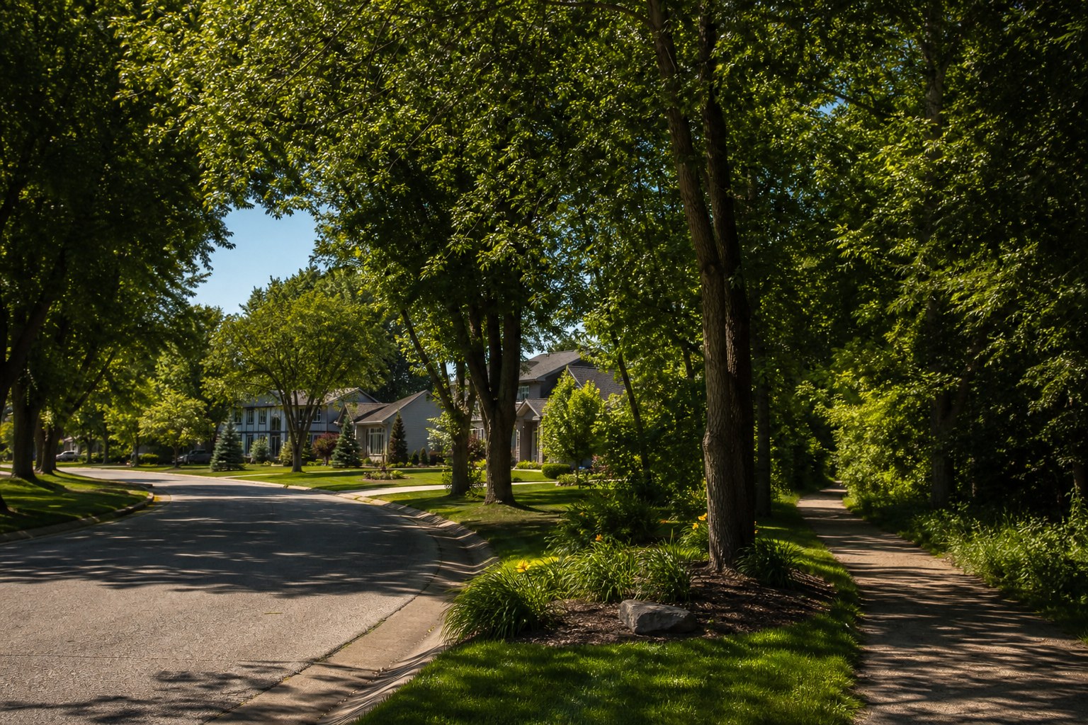 Wooded Johnston neighborhood street