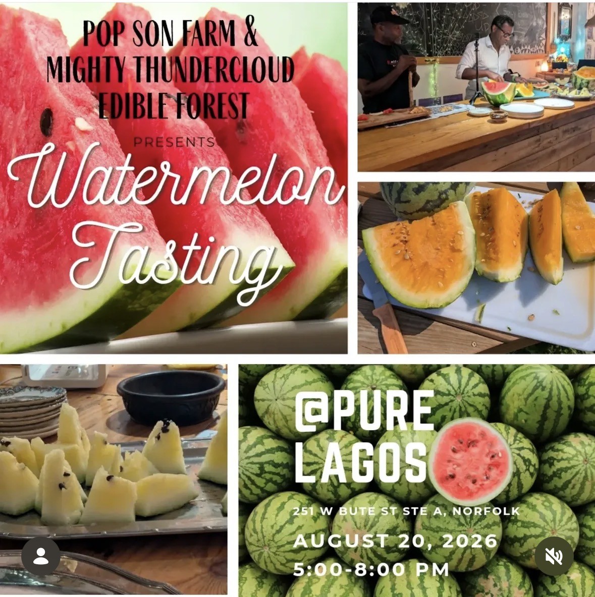 Watermelon Tasting at Pure Lagos