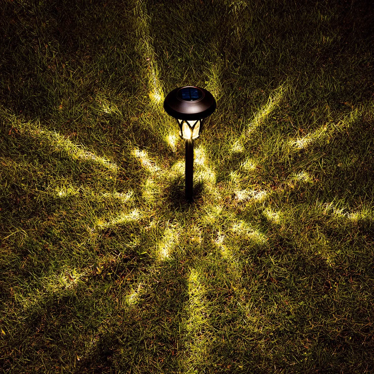 Gigalumi: Tulip Designed Solar Powered Yard Lights (6pc)Set